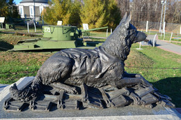 Москва. Поклонная гора. Экспозиция вооружения, боевой техники и инженерных сооружений. Памятник "Фронтовой собаке". Скульптор А. Коробцов.